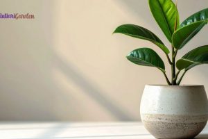 Sewa Tanaman Hias di Kantor untuk Ciptakan Lingkungan Kerja yang Sehat, Nyaman, dan Produktif