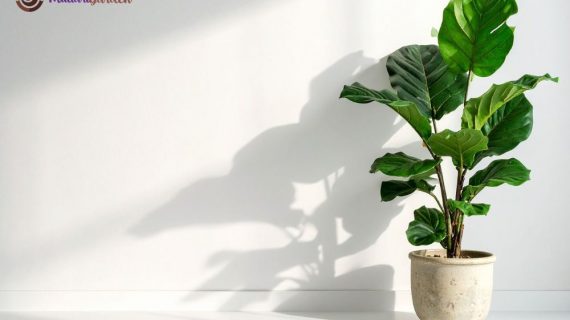 Transformasi Ruangan dan Produktivitas: Solusi Sewa Tanaman Hias Profesional di BSD Tower