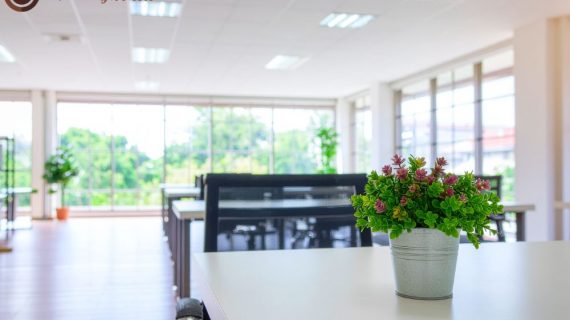 Transformasi Kantor Modern di Menara Sudirman: Manfaat dan Panduan Sewa Tanaman Hias Profesional