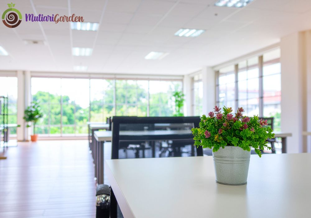 Sewa Tanaman Hias di Bekasi