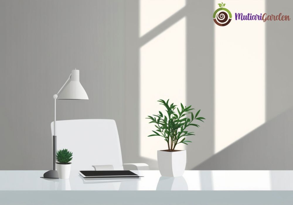 Sewa Tanaman Hias di Bogor