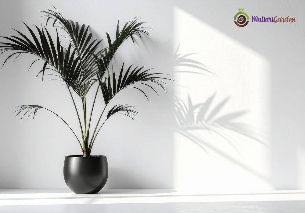 Sewa Tanaman Hias untuk Jakarta Mori Tower