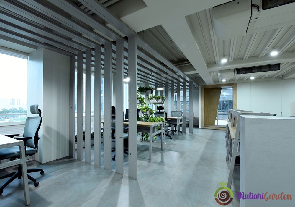 sewa tanaman hias untuk kantor 2