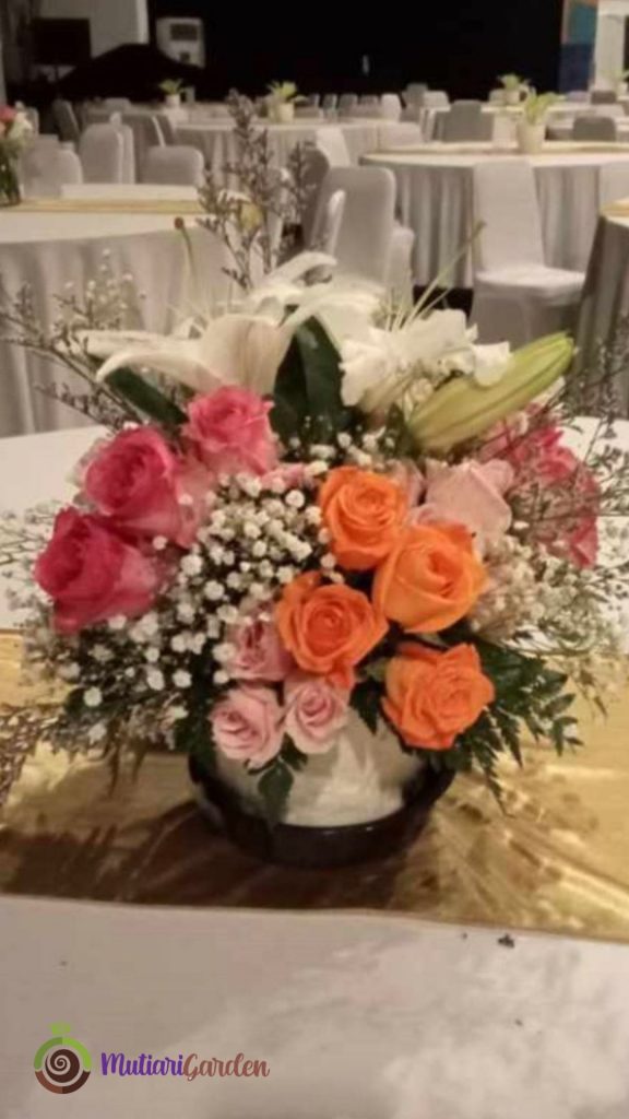 sewa tanaman untuk meja